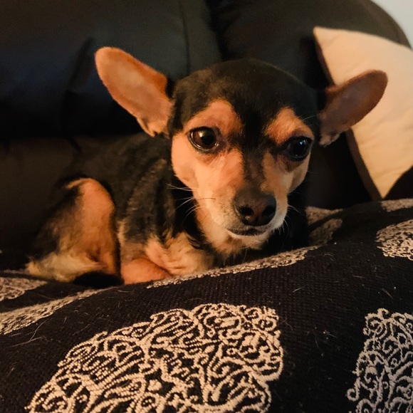 FOLLOW GAME 👗👠❤️👡👛👝💍 - Picture 9 of 10